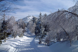 Winterlandschaft in Oybin